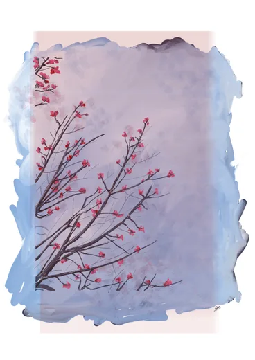 Painting of blossoming cherry branches against a soft sky