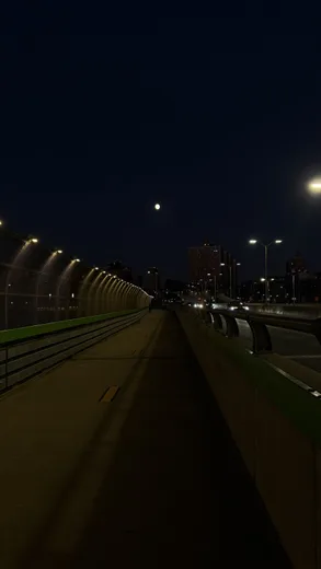 A dark riverside path under a moonlit sky