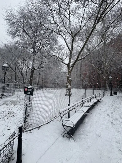 A snowy park path with bare trees and a bench