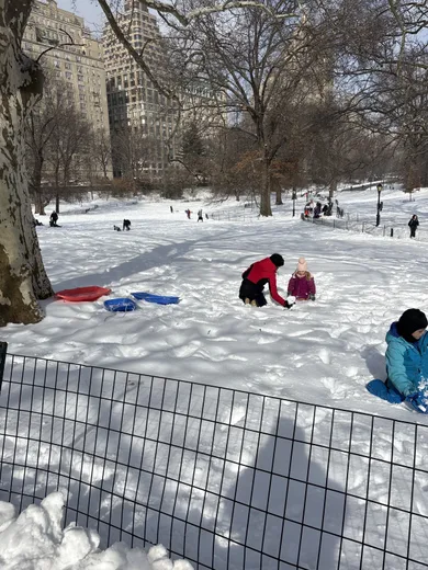 Children sledding in a snowy park