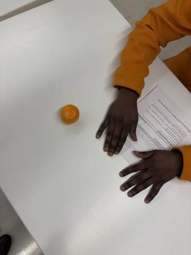 Hands resting on a white sheet of paper beside a small orange